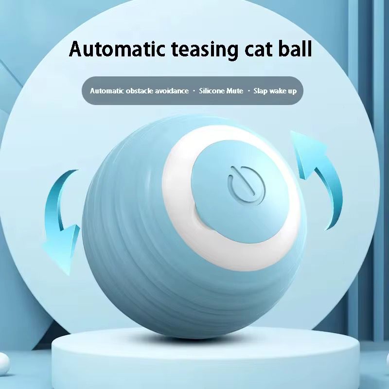 Teasing Cat Toy