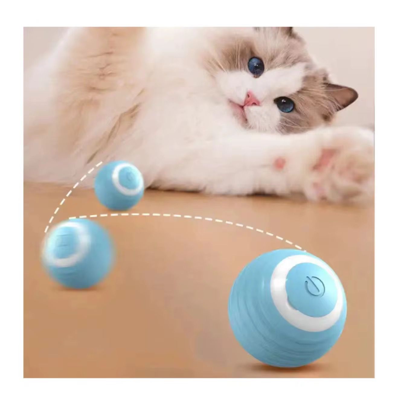 Teasing Cat Toy