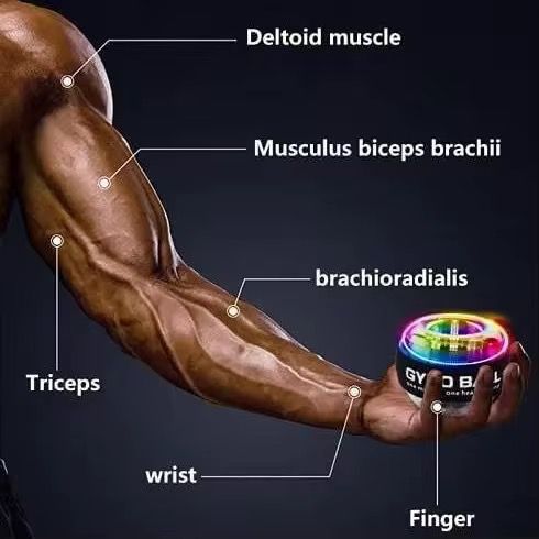 Gyro ball