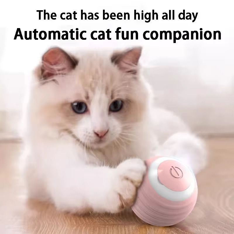 Teasing Cat Toy